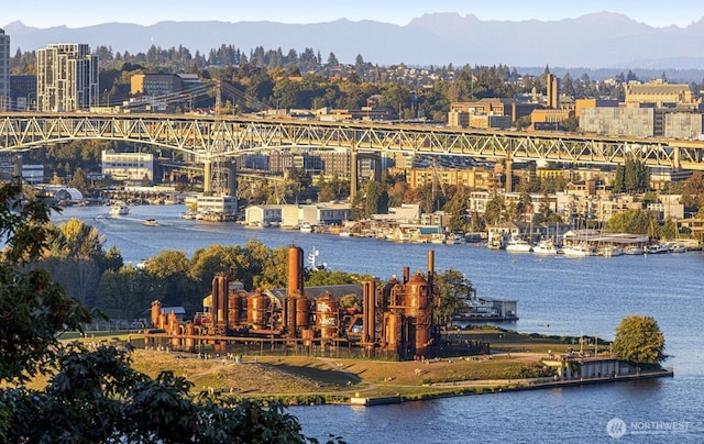 559 Mcgraw St Unit 204, Seattle, WA 98109 - water view with a notable bridge and a mountainous background