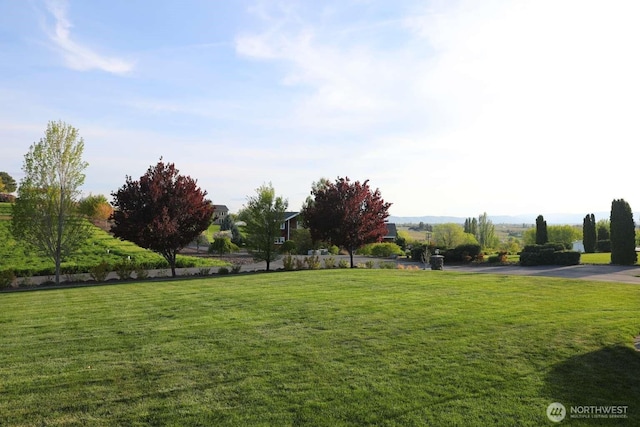 12003 Summit Haven Pl, Yakima, WA 98908 - view of grassy yard