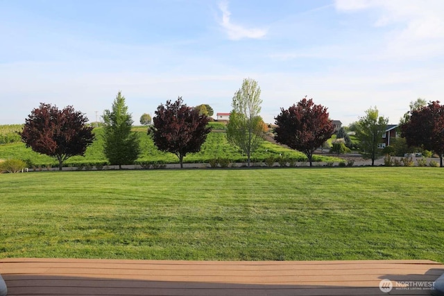 12003 Summit Haven Pl, Yakima, WA 98908 - view of grassy yard