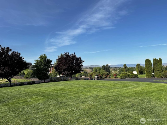 12003 Summit Haven Pl, Yakima, WA 98908 - view of grassy yard with a mountain view