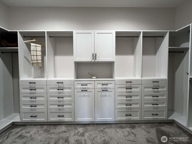 12003 Summit Haven Pl, Yakima, WA 98908 - spacious closet featuring carpet floors