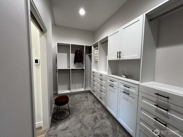 12003 Summit Haven Pl, Yakima, WA 98908 - walk in closet with dark carpet