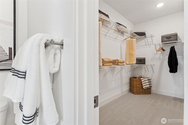 12257 137th Pl NE Unit 2901, Redmond, WA 98052 - walk in closet with carpet flooring