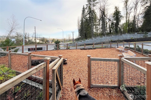 12257 137th Pl NE Unit 2901, Redmond, WA 98052 - view of yard