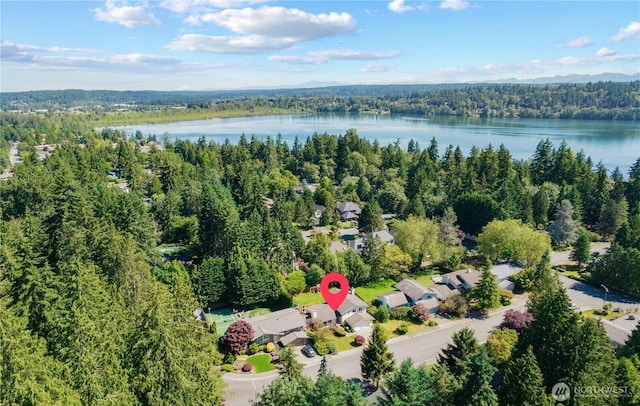 17602 NE 33rd Pl NE, Redmond, WA 98052 - photo 29