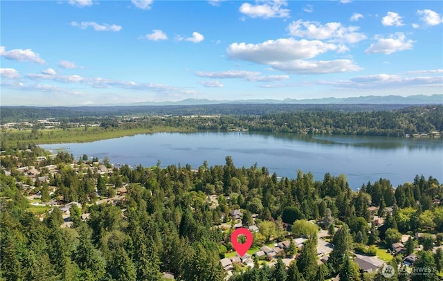 17602 NE 33rd Pl NE, Redmond, WA 98052 - photo 30