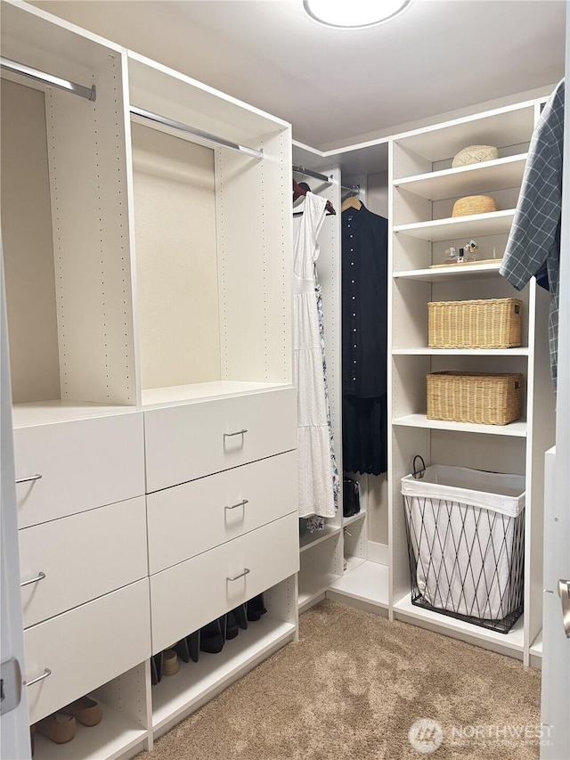 26908 NE Bird St, Duvall, WA 98019 - walk in closet with carpet