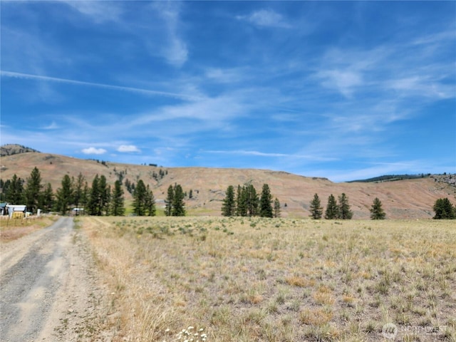 0 Poglina Way, Tonasket, WA 98859