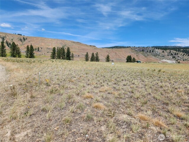 0 Poglina Way, Tonasket, WA 98859