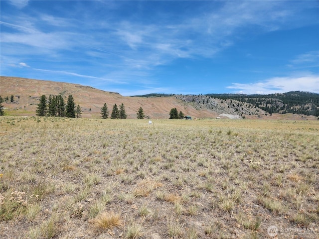 0 Poglina Way, Tonasket, WA 98859