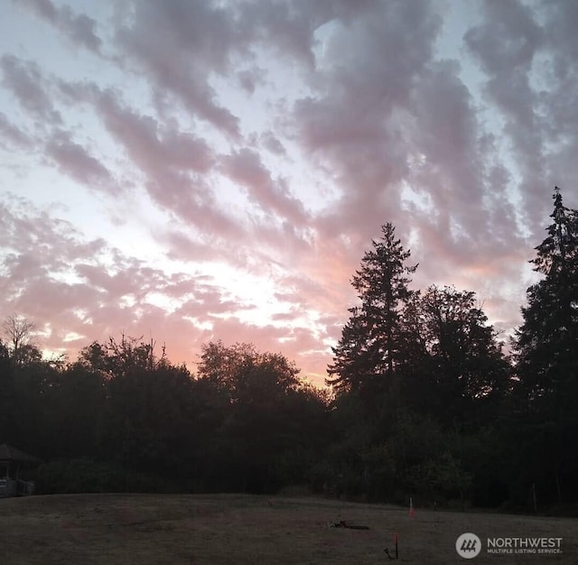 3693 W Ford Loop Rd, Elma, WA 98541 - photo 13