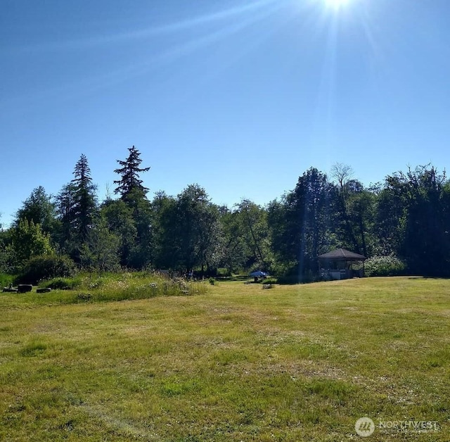 3693 W Ford Loop Rd, Elma, WA 98541 - photo 7