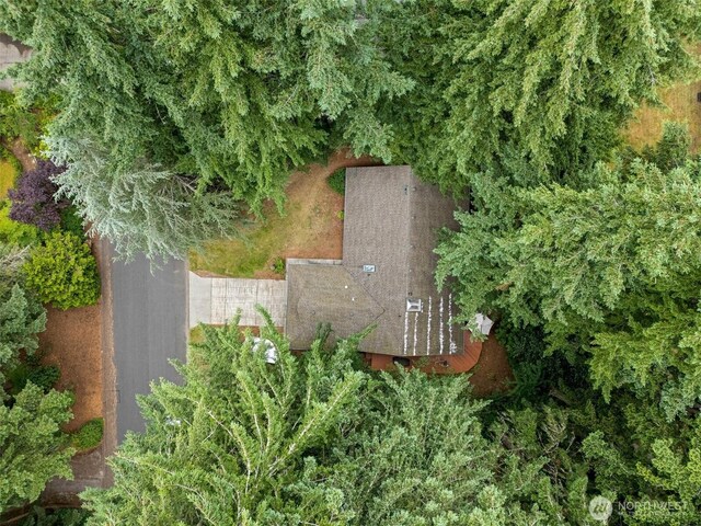 4136 Highline Dr SE, Olympia, WA 98501 - photo 34