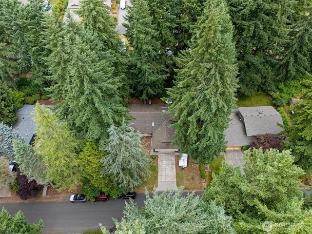 4136 Highline Dr SE, Olympia, WA 98501 - photo 35