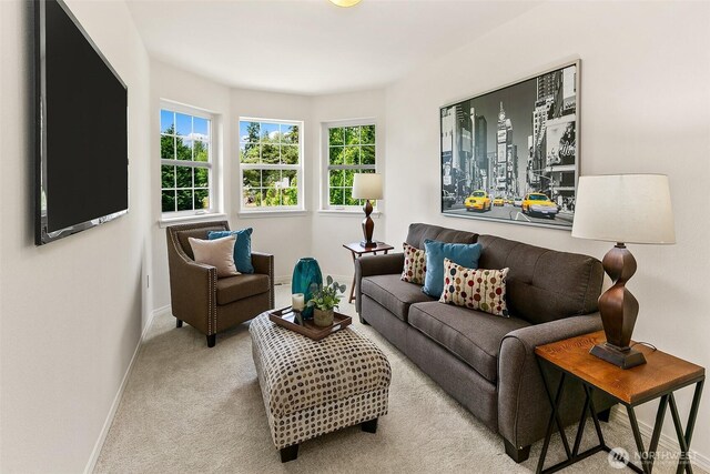 2128 151st Pl SW, Lynnwood, WA 98087 - photo 22