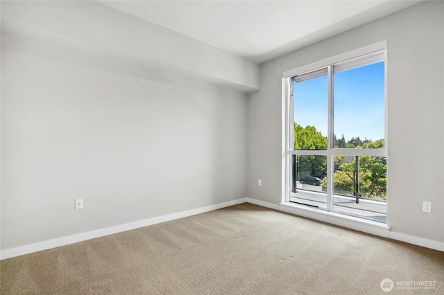 1085 103rd Ave NE Unit 217, Bellevue, WA 98004 - unfurnished room featuring carpet floors and baseboards