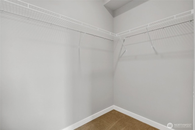 1085 103rd Ave NE Unit 217, Bellevue, WA 98004 - spacious closet with dark colored carpet