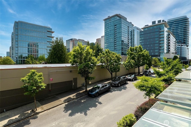 1085 103rd Ave NE Unit 217, Bellevue, WA 98004 - view of property with a view of city