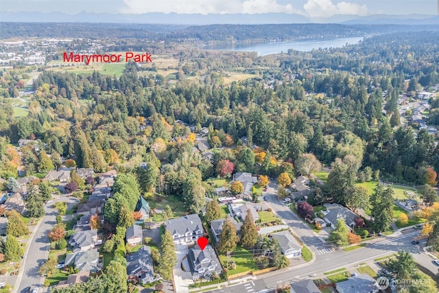 6002 156th Ave NE, Redmond, WA 98052 - photo 34