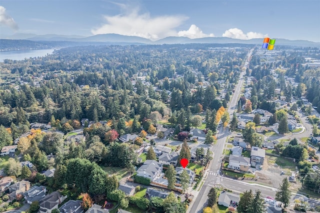 6002 156th Ave NE, Redmond, WA 98052 - photo 33
