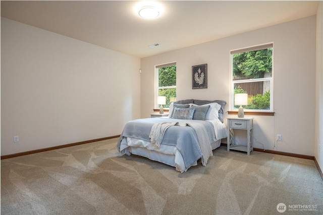 700 Twin Brooks Dr, Mount Vernon, WA 98273 - bedroom featuring light carpet