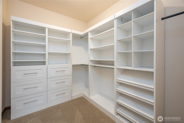 700 Twin Brooks Dr, Mount Vernon, WA 98273 - walk in closet featuring dark colored carpet