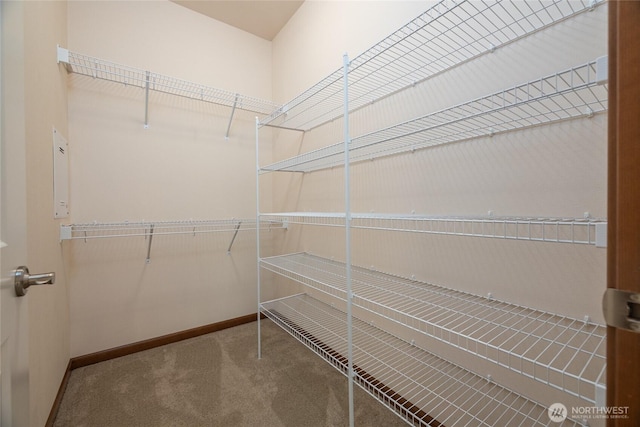 700 Twin Brooks Dr, Mount Vernon, WA 98273 - spacious closet with carpet