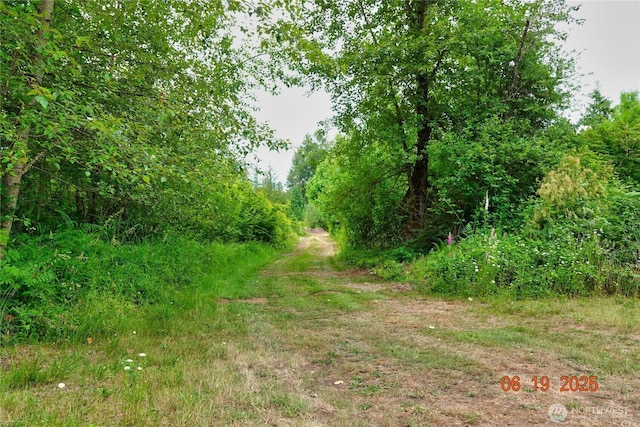 31506 47th Ave E, Eatonville, WA 98328 - photo 2