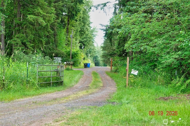 31506 47th Ave E, Eatonville, WA 98328 - photo 3