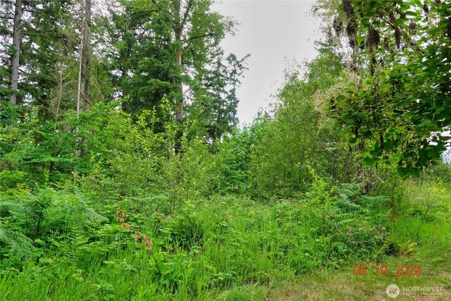 31506 47th Ave E, Eatonville, WA 98328 - photo 4