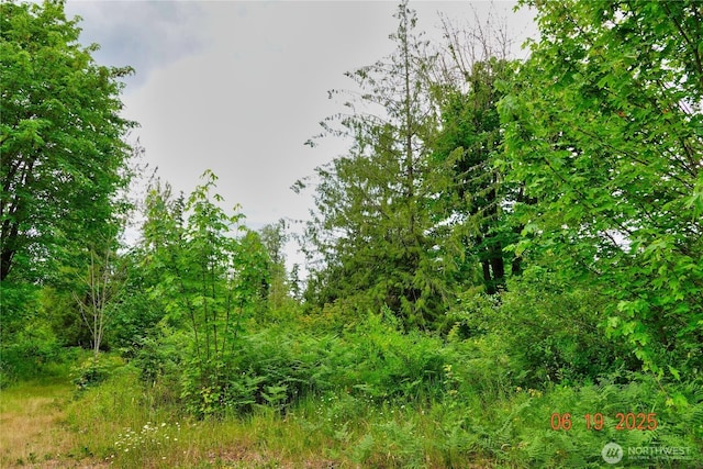 31506 47th Ave E, Eatonville, WA 98328 - photo 8