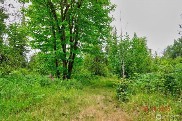 31506 47th Ave E, Eatonville, WA 98328 - photo 9