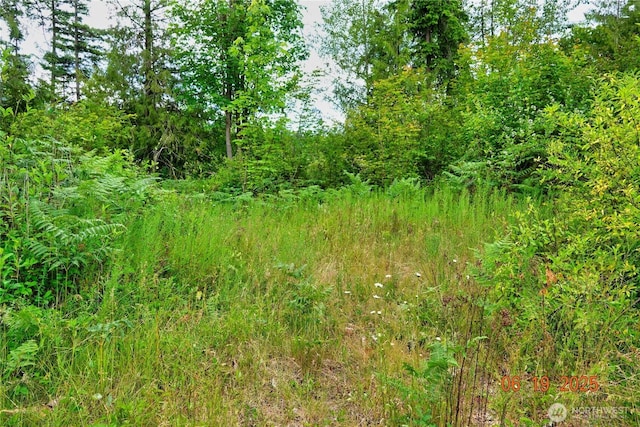 31506 47th Ave E, Eatonville, WA 98328 - photo 10