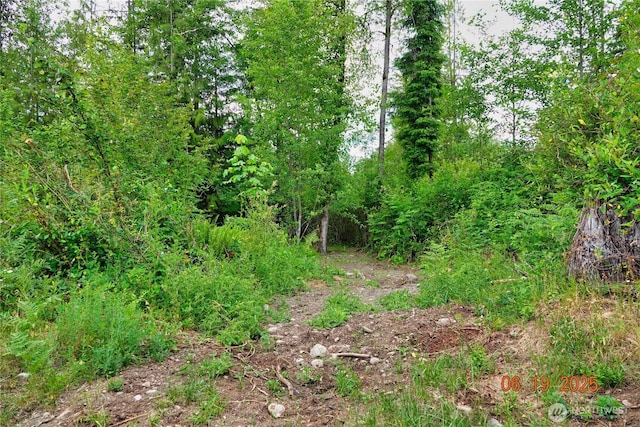 31506 47th Ave E, Eatonville, WA 98328 - photo 15