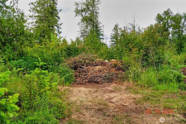31506 47th Ave E, Eatonville, WA 98328 - photo 16