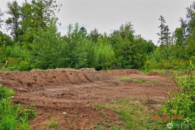 31506 47th Ave E, Eatonville, WA 98328 - photo 18