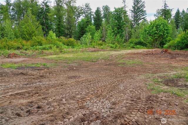31506 47th Ave E, Eatonville, WA 98328 - photo 19