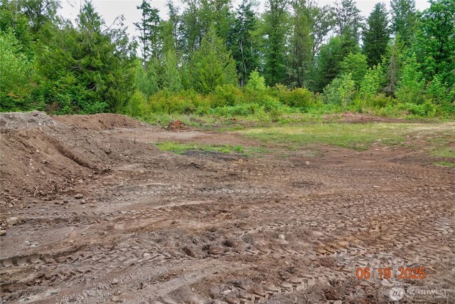 31506 47th Ave E, Eatonville, WA 98328 - photo 20