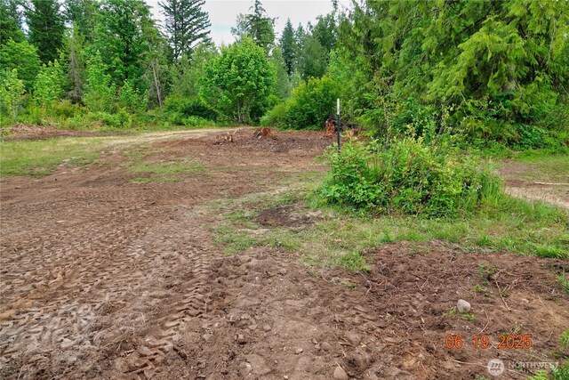 31506 47th Ave E, Eatonville, WA 98328 - photo 21