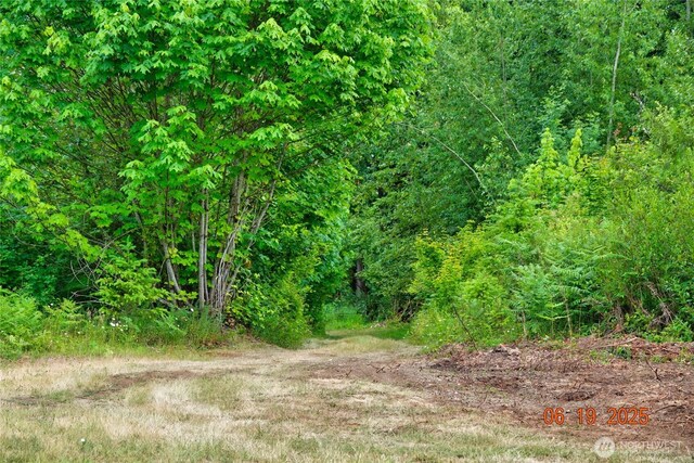 31506 47th Ave E, Eatonville, WA 98328 - photo 22