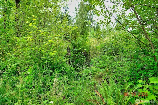 31506 47th Ave E, Eatonville, WA 98328 - photo 24