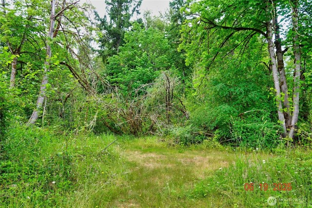 31506 47th Ave E, Eatonville, WA 98328 - photo 25