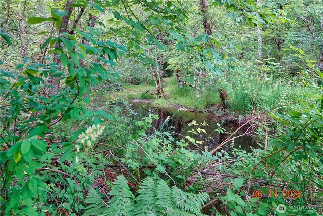 31506 47th Ave E, Eatonville, WA 98328 - photo 27