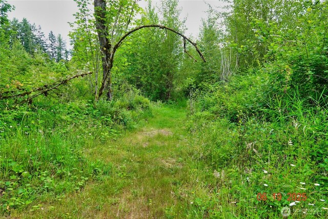 31506 47th Ave E, Eatonville, WA 98328 - photo 31