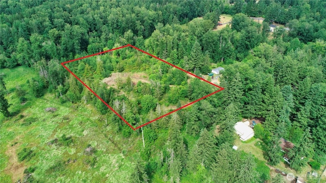 31506 47th Ave E, Eatonville, WA 98328 - photo 32