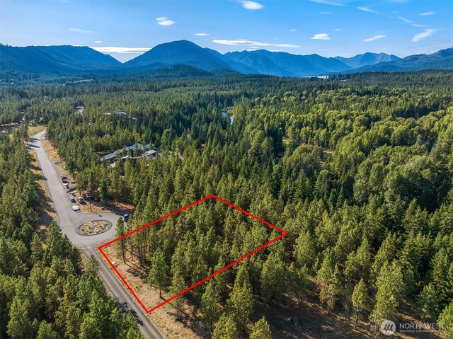 951 Gold Leaf Ln, Cle Elum, WA 98922 - photo 4