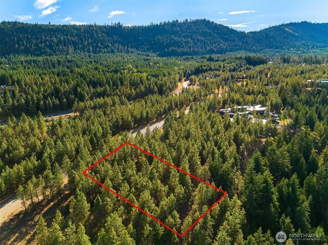 951 Gold Leaf Ln, Cle Elum, WA 98922 - photo 6
