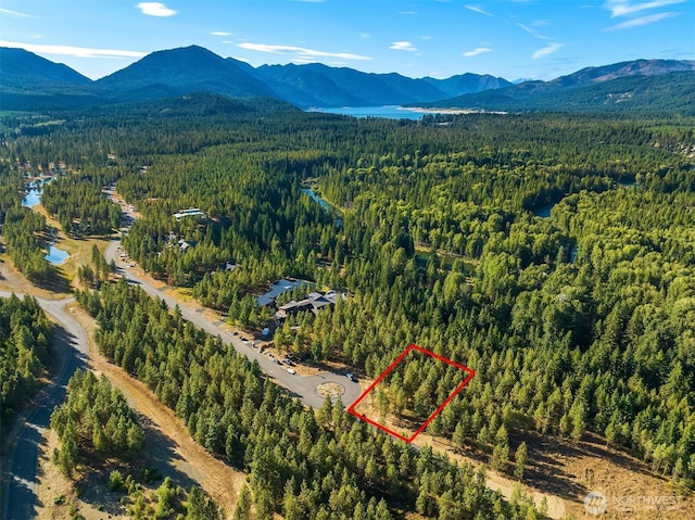 951 Gold Leaf Ln, Cle Elum, WA 98922 - photo 1