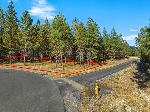951 Gold Leaf Ln, Cle Elum, WA 98922 - photo 8