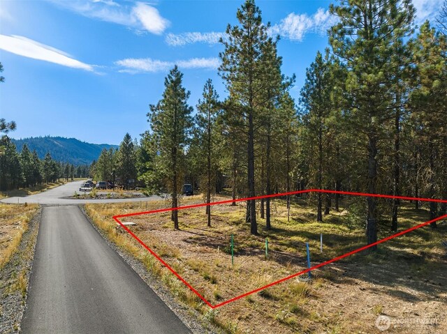 951 Gold Leaf Ln, Cle Elum, WA 98922 - photo 9
